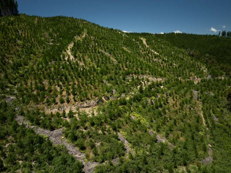 240 Teapot Valley Road Brightwater_5