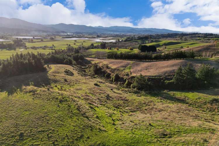 2384 Moutere Highway_0