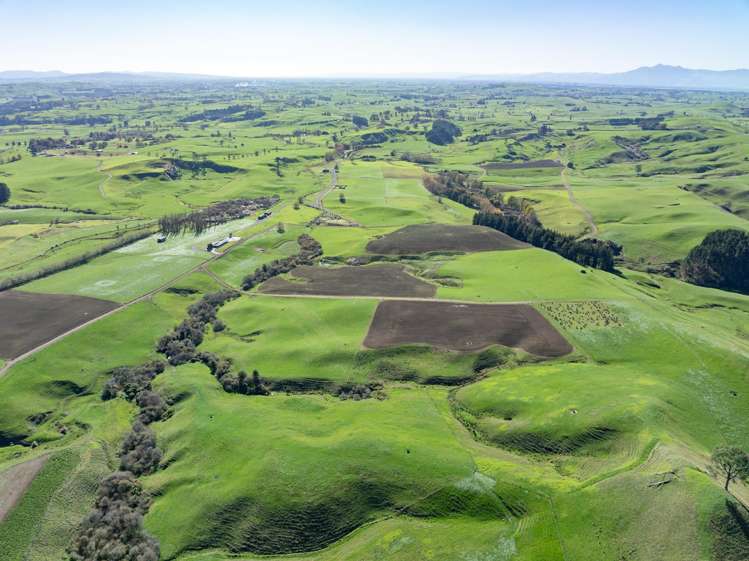 24 Waterworks Road Morrinsville_7