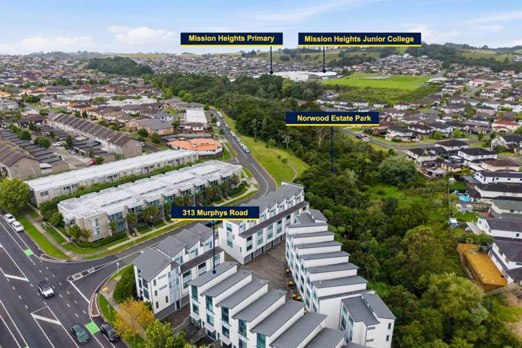 313 Murphys Road Flat Bush_15