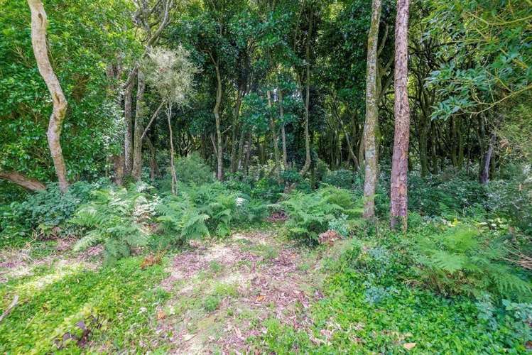 12 Kilsby Place Levin_25