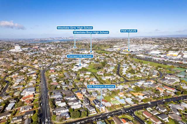 6A Tristram Avenue Forrest Hill_2