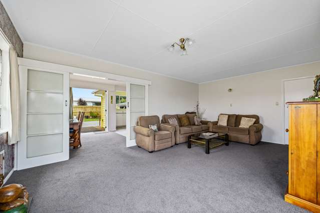 21 Reeve Street Levin_4