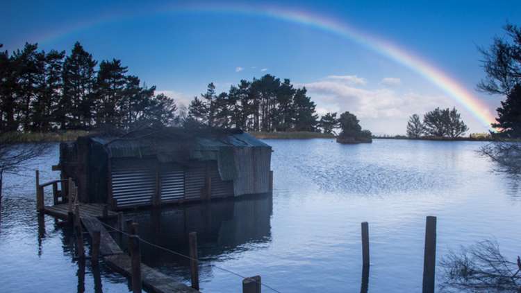 1543 Annedale Road Tinui_20