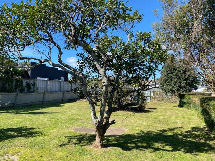 40 Alberta Street Pt Chevalier_16