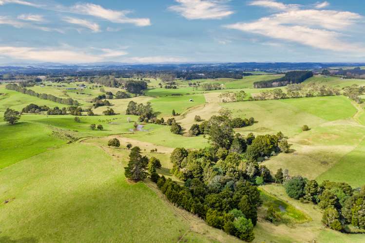 460 Pungaere Road Kerikeri Surrounds_10