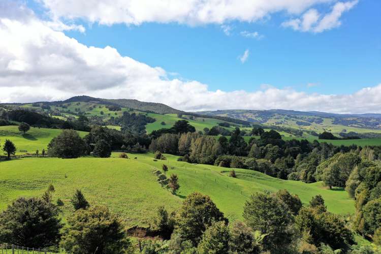 Lot 1 Katui Road Dargaville Surrounds_6