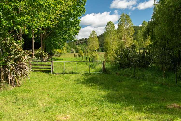 237 Win Valley Road Dovedale_37