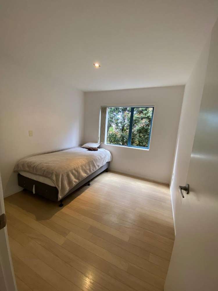 9a Agathis Avenue Mairangi Bay_8