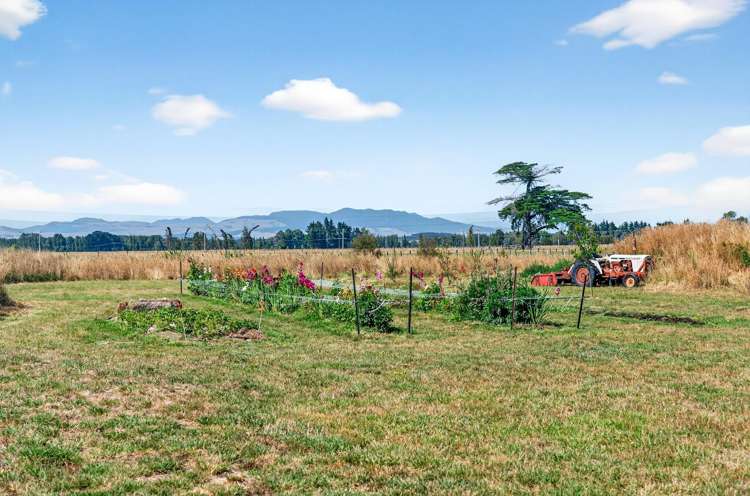 20 Britton Avenue Greytown_33