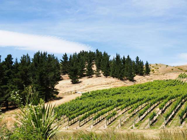 29 McFelin Road Cromwell_4