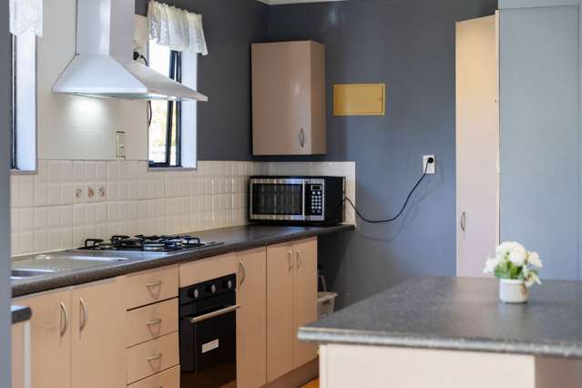 62 Tony Segedin Drive Avondale_4