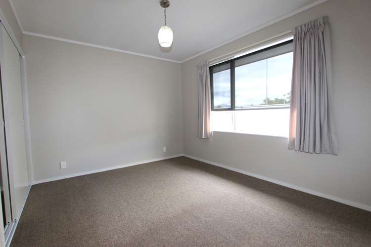 61b Nelson Street Springlands_9