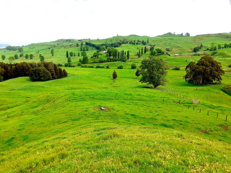 25 Pukenui Road Te Kuiti_4