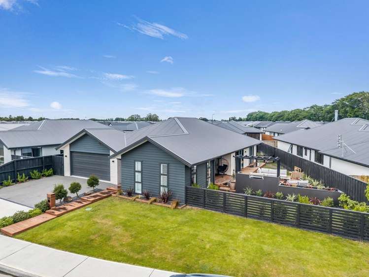 13 Stackwood Avenue Ravenswood_31