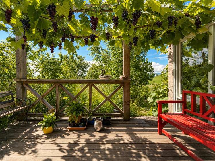 407 Elephant Hill Road Waimate_10