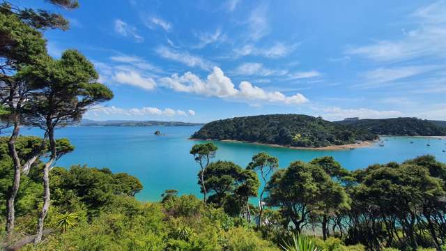 Lot 171/DP6849 North Cove Kawau Island_1