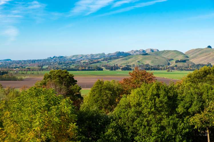 94 Enfield Drive Pakipaki_21