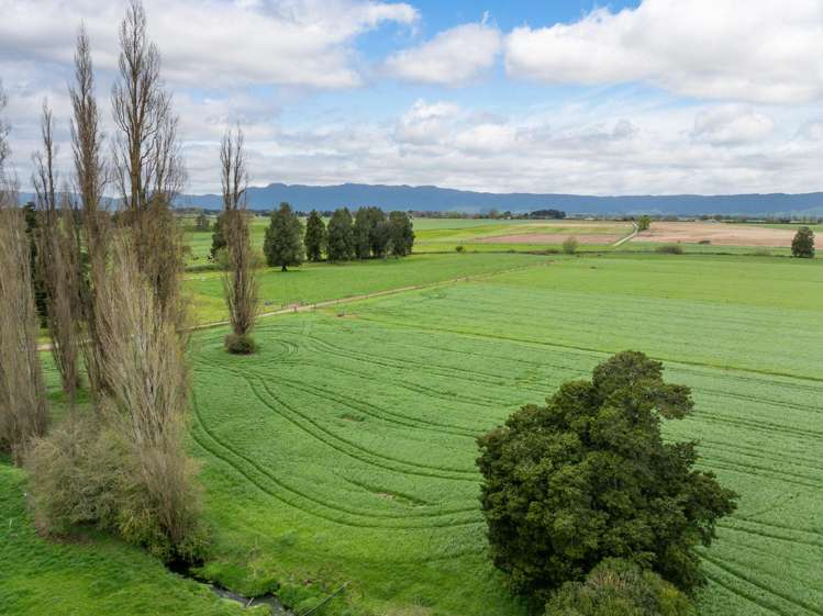 222 Gunn Road Matamata_27