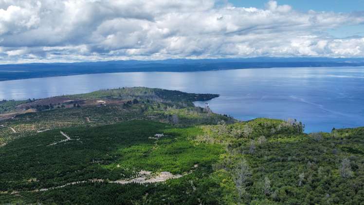 6 Grandview Lane Acacia Bay_8