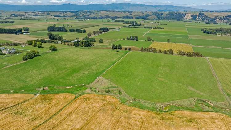 2054 Kimbolton Road Kiwitea_17