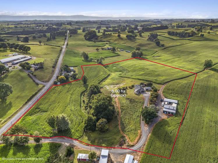 1/1542 Morrinsville-Walton Road Morrinsville_23