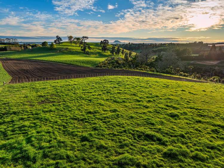 Lot Lot 1 Ross Road Whakamarama_12