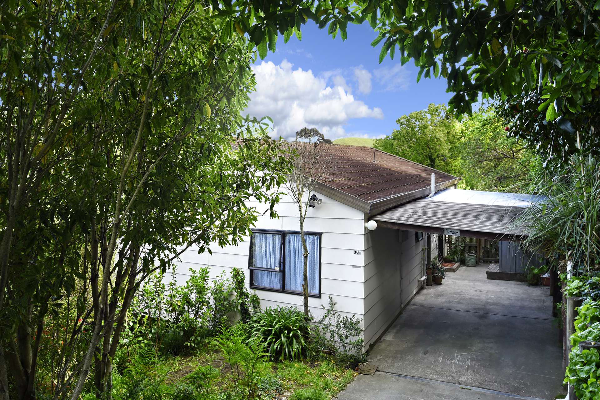 36a Jenner Road Toi Toi_0