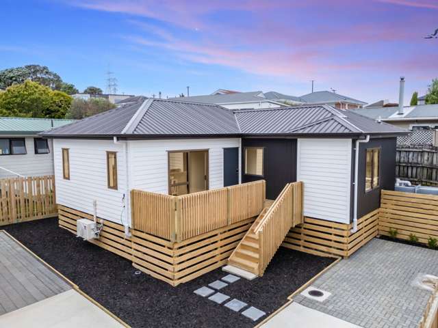 20B Subritzky Avenue Mt Roskill_2