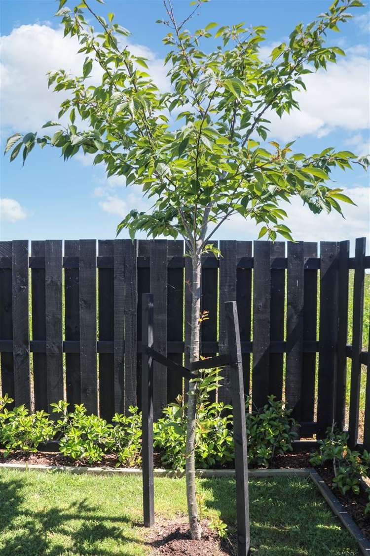 132 Rimu Street Te Kauwhata_27