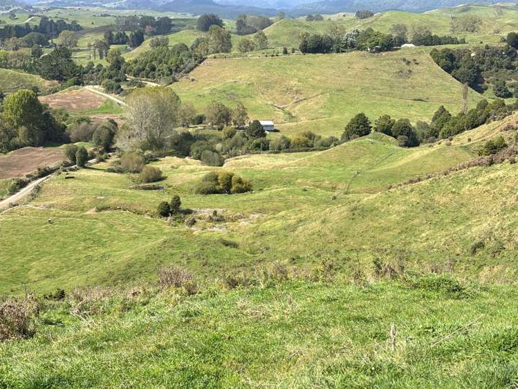 Paraketu Road Waimiha_11