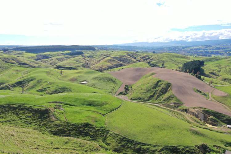 810 Spur Road Ashhurst_6