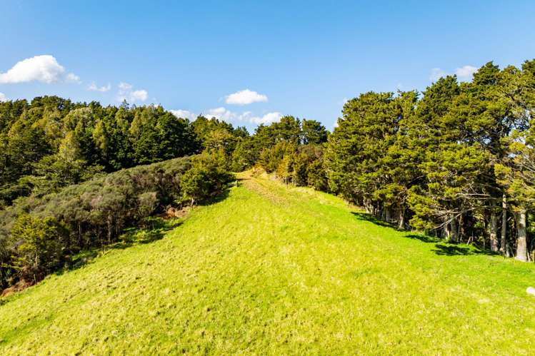 Baker Road Maungatapere_5