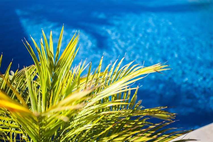 232k Pohutukawa Avenue Ohope_21