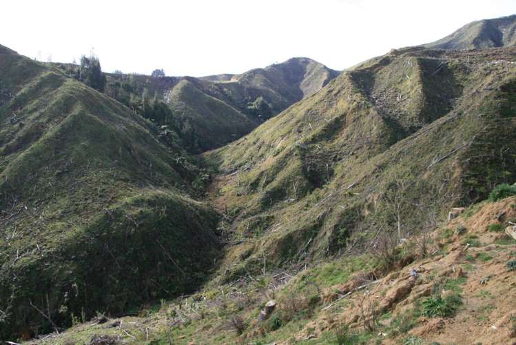 0n Makakaho Road Ngamatapouri_12