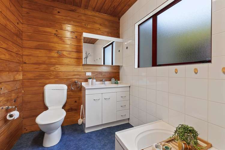 14a Domanski Crescent Owhiro Bay_13