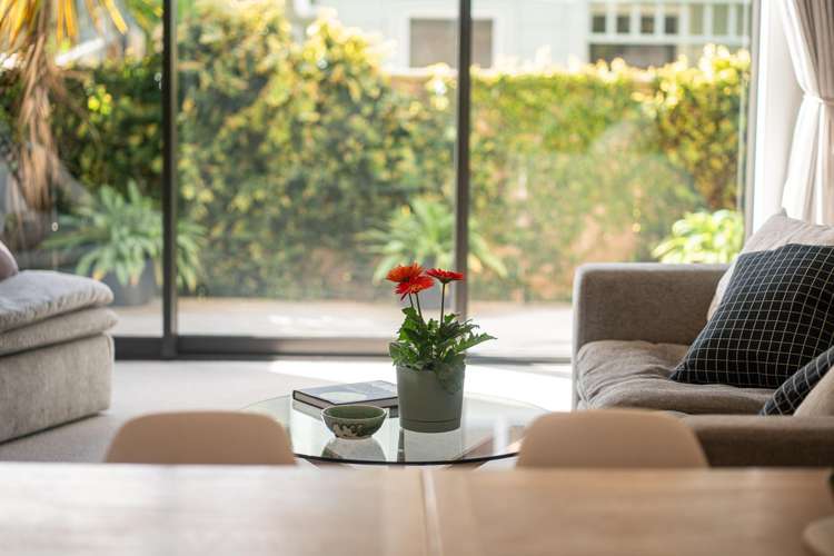 26 Palm Grove Berhampore_33