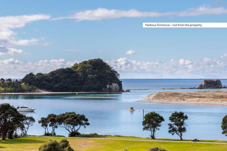 2 Citrus Place Mangawhai_10