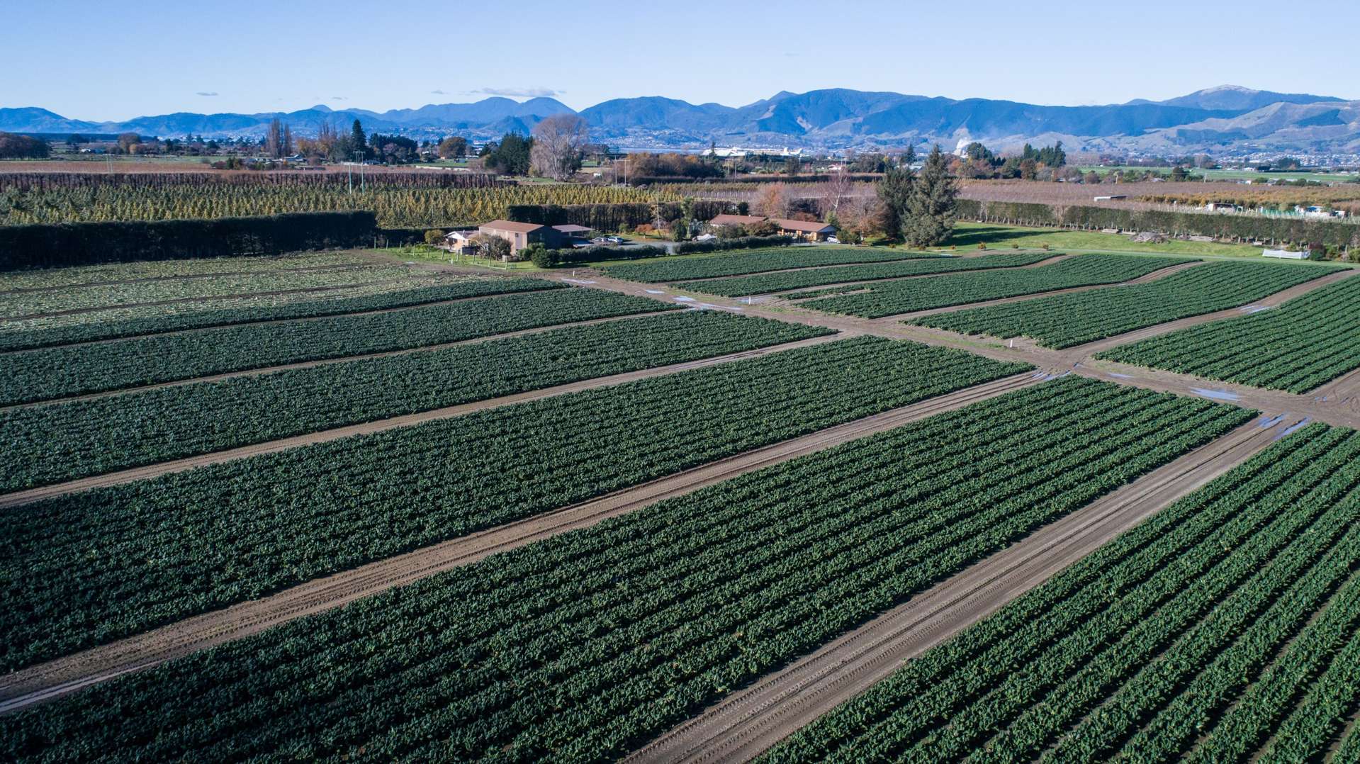 480 Appleby Highway Appleby_0