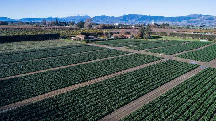 480 Appleby Highway Appleby_0