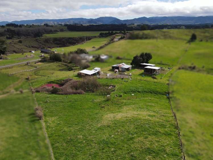 203 Garfield Road Norsewood_13