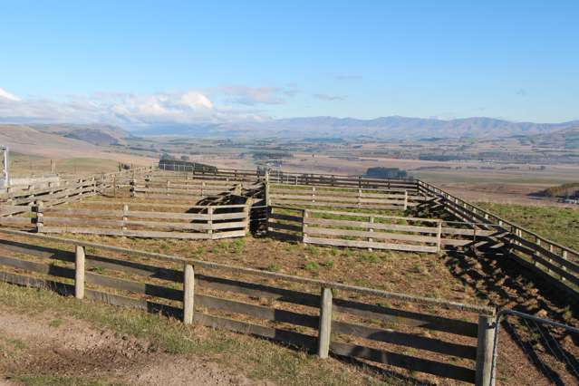 Mt Michael Valley Road Fairlie_2