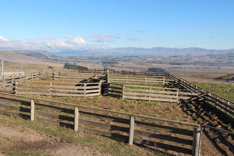 Mt Michael Valley Road Fairlie_2