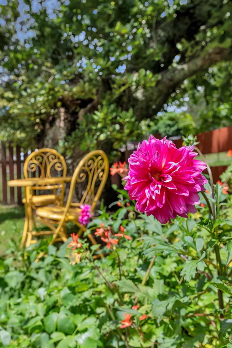 37 Valley View Road Otaika_31