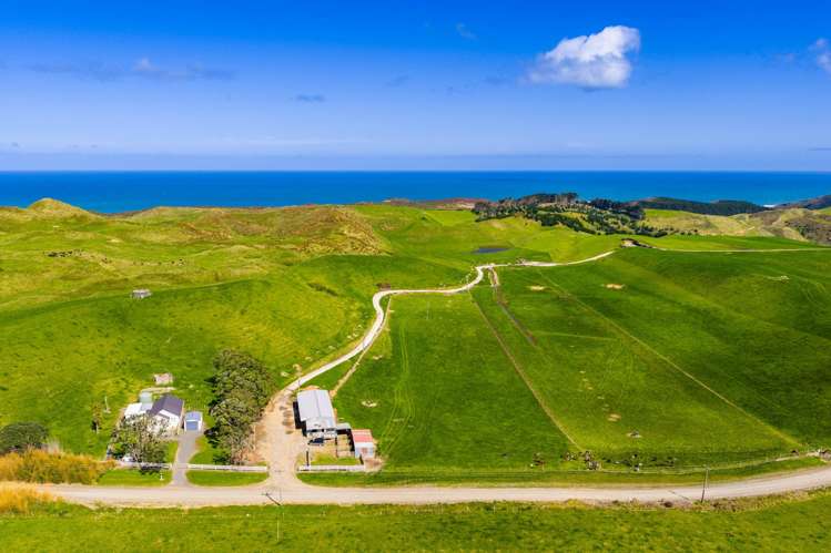 780 Te Maire Road Te Kopuru_16