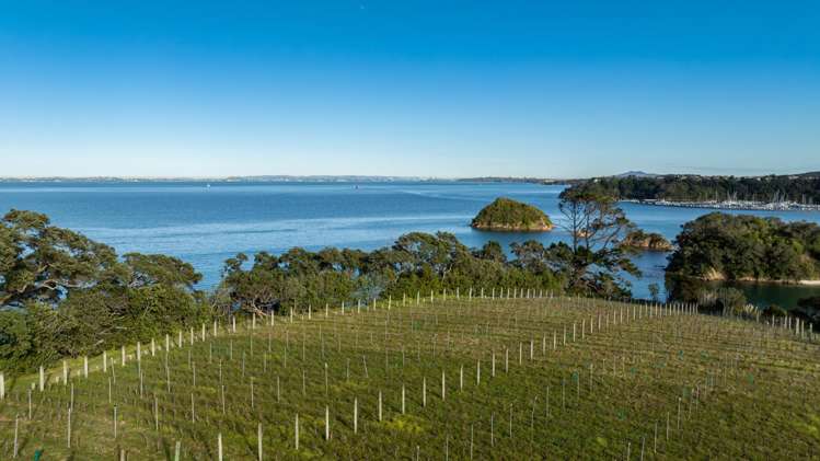 40 Rothschild Terrace Waiheke Island_17