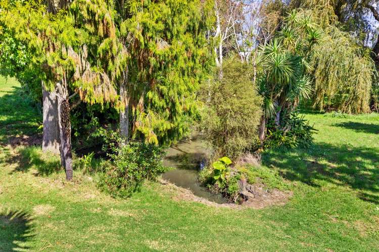 29e Harrisfield Drive Hairini_15