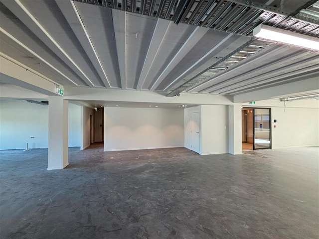 11-13 Falcon Street Parnell_2