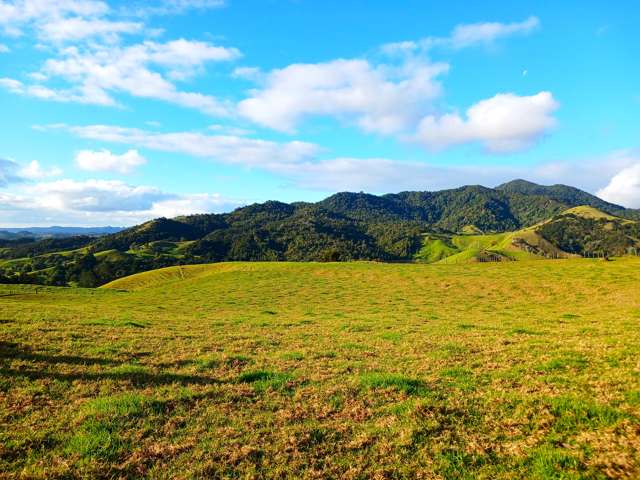 92 Takahue Saddle Road Takahue_2