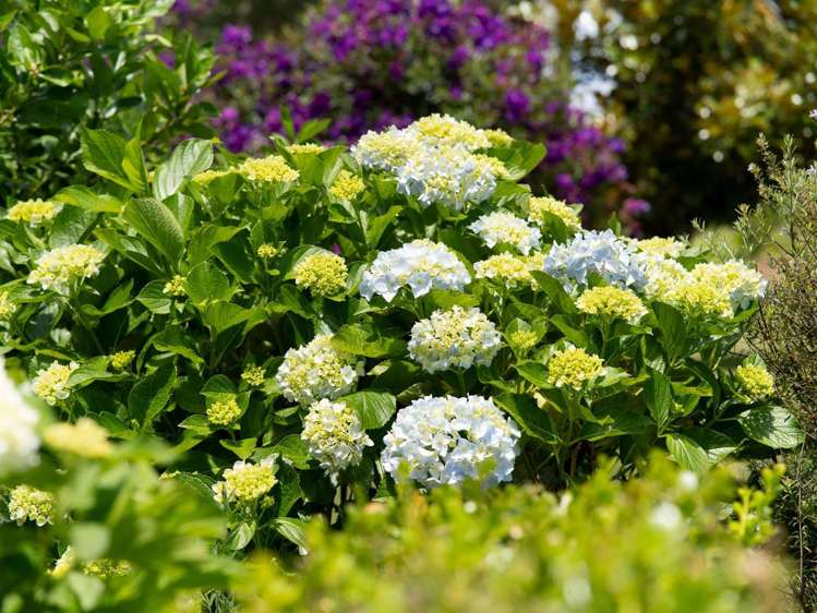 44 Mission Road Kerikeri_33